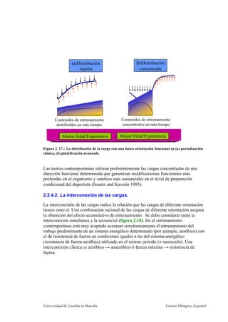 Universidad de Castilla la Mancha Comité Olímpico Español
Menor Edad/Experiencia Mayor Edad/Experiencia
(a)Distribución
regular
(b)Distribución
concentrada
Contenidos de entrenamiento
distribuidos en más tiempo
Contenidos de entrenamiento
concentrados en más tiempo
Figura 2. 17.- La distribución de la carga con una única orientación funcional en (a) periodización
clásica, (b) planificación avanzada
Las teorías contemporáneas utilizan preferentemente las cargas concentradas de una
dirección funcional determinada que garantizan modificaciones funcionales más
profundas en el organismo y cambios más sustanciales en el nivel de preparación
condicional del deportista (Issurin and Kaverin 1985).
2.2.4.2. La interconexión de las cargas.
La interconexión de las cargas indica la relación que las cargas de diferente orientación
tienen entre sí. Una combinación racional de las cargas de diferente orientación asegura
la obtención del efecto acumulativo de entrenamiento. Se debn considerar tanto la
interconexión simultanea y la secuencial (figura 2.18). En el entrenamiento
contemporáneo está muy aceptado acentuar simultaneamente el entrenamiento del
trabajo predominante de un sistema energético determinado (por ejemplo, aeróbico) con
el de resistencia de fuerza en condiciones iguales a las del sistema energético
(resistencia de fuerza aeróbica) utilizado en el mismo periodo (o mesociclo). Una
interconexión clásica es aeróbico → anaeróbico ó fuerza máxima → resistencia de
fuerza.
 