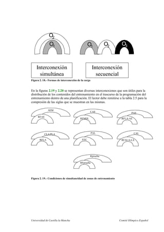 Universidad de Castilla la Mancha Comité Olímpico Español
Interconexión
simultánea
Interconexión
secuencial
O1
O2
O1
O2 O3
Figura 2. 18.- Formas de interconexión de la carga
En la figuras 2.19 y 2.20 se representan diversas interconexiones que son útiles para la
distribución de los contenidos del entrenamiento en el trascurso de la programación del
entrenamiento dentro de una planificación. El lector debe remitirse a la tabla 2.5 para la
compresión de las siglas que se muestran en las mismas.
AEM
RFAE
CAE
RFMIX
PAE
RFLA-AE
CLA/PLA
RFLA
CLA/PLA
RFLA
CAL
RFALA-LA
Rprueba
RFprueba
PAL
FEC
PAL
FEC
Figura 2. 19.- Condiciones de simultaneidad de zonas de entrenamiento
 