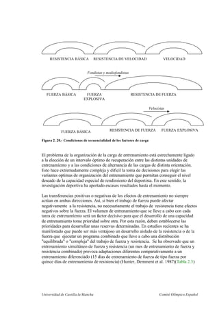 Universidad de Castilla la Mancha Comité Olímpico Español
RESISTENCIA BÁSICA RESISTENCIA DE VELOCIDAD VELOCIDAD
FUERZA BÁSICA FUERZA
EXPLOSIVA
RESISTENCIA DE FUERZA
Fondistas y mediofondistas
FUERZA BÁSICA FUERZA EXPLOSIVARESISTENCIA DE FUERZA
Velocistas
Figura 2. 20.- Condiciones de secuencialidad de los factores de carga
El problema de la organización de la carga de entrenamiento está estrechamente ligado
a la elección de un intervalo óptimo de recuperación entre las distintas unidades de
entrenamiento y a las condiciones de alternancia de las cargas de distinta orientación.
Esto hace extremadamente compleja y difícil la toma de decisiones para elegir las
variantes optimas de organización del entrenamiento que permitan conseguir el nivel
deseado de la capacidad especial de rendimiento del deportista. En este sentido, la
investigación deportiva ha aportado escasos resultados hasta el momento.
Las transferencias positivas o negativas de los efectos de entrenamiento no siempre
actúan en ambas direcciones. Así, si bien el trabajo de fuerza puede afectar
negativamente a la resistencia, no necesariamente el trabajo de resistencia tiene efectos
negativos sobre la fuerza. El volumen de entrenamiento que se lleve a cabo con cada
tarea de entrenamiento será un factor decisivo para que el desarrollo de una capacidad
de entrenamiento tome prioridad sobre otra. Por esta razón, deben establecerse las
prioridades para desarrollar unas reservas determinadas. En estudios recientes se ha
manifestado que puede ser más ventajoso un desarrollo aislado de la resistencia o de la
fuerza que ejecutar un programa combinado que lleve a cabo una distribución
"equilibrada" o "compleja" del trabajo de fuerza y resistencia. Se ha observado que un
entrenamiento simultáneo de fuerza yresistencia (un mes de entrenamiento de fuerza y
resistencia combinado) provoca adaptaciones diferentes comparativamente a un
entrenamiento diferenciado (15 días de entrenamiento de fuerza de tipo fuerza por
quince días de entrenamiento de resistencia) (Hunter, Demment et al. 1987)(Tabla 2.3)
 