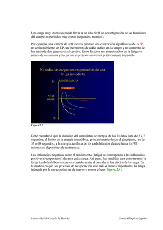 Universidad de Castilla la Mancha Comité Olímpico Español
Una carga muy intensiva puede llevar a un alto nivel de desintegración de las funciones
del cuerpo en periodos muy cortos (segundos, minutos).
Por ejemplo, una carrera de 400 metros produce una conversión significativa de ATP,
un aminoramiento de CP, un incremento de ácido láctico en la sangre y un aumento de
los aminoácidos gamma en el cerebro. Estos factores son responsables de la fatiga en
menos de un minuto y hacen una repetición inmediata prácticamente imposible.
No todas las cargas son responsables de unaNo todas las cargas son responsables de una
fatiga inmediatafatiga inmediata
CARGA
RENDIMIENTO
C
D
Nivel
inicial
Figura 2. 3
Debe recordarse que la duración del suministro de energía de los fosfatos dura de 3 a 7
segundos; el limite de la energía anaeróbica, principalmente desde el glucógeno, es de
35 a 60 segundos; y la energía aeróbica de los carbohidratos alcanza hasta los 90
minutos en deportistas de resistencia.
Las influencias negativas sobre el rendimiento (fatiga) se contraponen a las influencias
positivas (recuperación) durante cada carga. Así pues, las medidas para contrarrestar la
fatiga también deben tenerse en consideración al considerar los efectos de la carga. En
la medida en que los procesos de recuperación sean más o menos importantes, la fatiga
inducida por la carga podrá ser de mayor o menor efecto (figura 2.4).
 