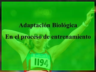 Adaptación Biológica
En el proceso de entrenamiento
 