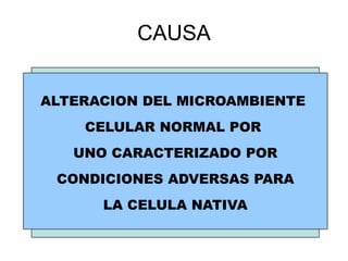 CAUSA


ALTERACION DEL MICROAMBIENTE
    CELULAR NORMAL POR
   UNO CARACTERIZADO POR
 CONDICIONES ADVERSAS PARA
      LA CELULA NATIVA
 