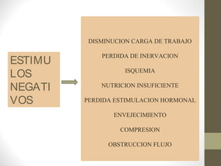 DISMINUCION CARGA DE TRABAJO


ESTIMU
             PERDIDA DE INERVACION


LOS                ISQUEMIA

NEGATI       NUTRICION INSUFICIENTE

VOS      PERDIDA ESTIMULACION HORMONAL

                ENVEJECIMIENTO

                  COMPRESION

               OBSTRUCCION FLUJO
 