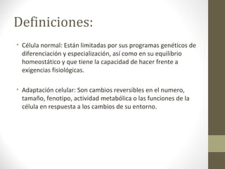 Definiciones:
• Célula normal: Están limitadas por sus programas genéticos de
diferenciación y especialización, así como en su equilibrio
homeostático y que tiene la capacidad de hacer frente a
exigencias fisiológicas.
• Adaptación celular: Son cambios reversibles en el numero,
tamaño, fenotipo, actividad metabólica o las funciones de la
célula en respuesta a los cambios de su entorno.
 