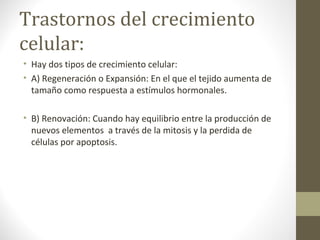 Trastornos del crecimiento
celular:
• Hay dos tipos de crecimiento celular:
• A) Regeneración o Expansión: En el que el tejido aumenta de
tamaño como respuesta a estímulos hormonales.
• B) Renovación: Cuando hay equilibrio entre la producción de
nuevos elementos a través de la mitosis y la perdida de
células por apoptosis.
 