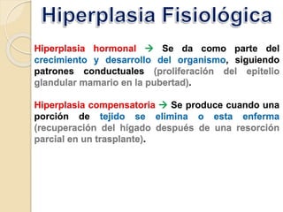 Hiperplasia hormonal  Se da como parte del
crecimiento y desarrollo del organismo, siguiendo
patrones conductuales (proliferación del epitelio
glandular mamario en la pubertad).
Hiperplasia compensatoria  Se produce cuando una
porción de tejido se elimina o esta enferma
(recuperación del hígado después de una resorción
parcial en un trasplante).
 