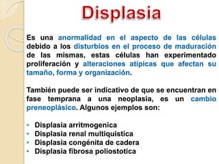 Es una anormalidad en el aspecto de las células
debido a los disturbios en el proceso de maduración
de las mismas, estas células han experimentado
proliferación y alteraciones atípicas que afectan su
tamaño, forma y organización.
También puede ser indicativo de que se encuentran en
fase temprana a una neoplasia, es un cambio
preneoplásico. Algunos ejemplos son:
• Displasia arritmogenica
• Displasia renal multiquistica
• Displasia congénita de cadera
• Displasia fibrosa poliostotica
 