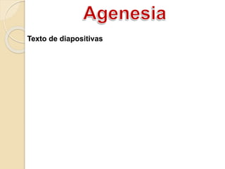 Texto de diapositivas
 