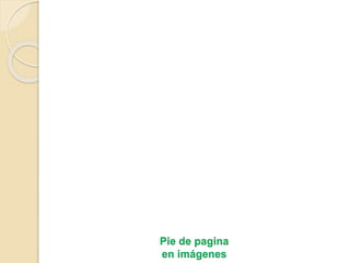 Pie de pagina
en imágenes
 