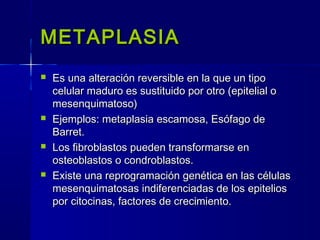 METAPLASIAMETAPLASIA
 Es una alteración reversible en la que un tipoEs una alteración reversible en la que un tipo
celular maduro es sustituido por otro (epitelial ocelular maduro es sustituido por otro (epitelial o
mesenquimatoso)mesenquimatoso)
 Ejemplos: metaplasia escamosa, Esófago deEjemplos: metaplasia escamosa, Esófago de
Barret.Barret.
 Los fibroblastos pueden transformarse enLos fibroblastos pueden transformarse en
osteoblastos o condroblastos.osteoblastos o condroblastos.
 Existe una reprogramación genética en las célulasExiste una reprogramación genética en las células
mesenquimatosas indiferenciadas de los epiteliosmesenquimatosas indiferenciadas de los epitelios
por citocinas, factores de crecimiento.por citocinas, factores de crecimiento.
 