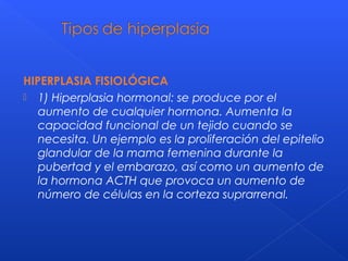 HIPERPLASIA FISIOLÓGICA
 1) Hiperplasia hormonal: se produce por el
aumento de cualquier hormona. Aumenta la
capacidad funcional de un tejido cuando se
necesita. Un ejemplo es la proliferación del epitelio
glandular de la mama femenina durante la
pubertad y el embarazo, así como un aumento de
la hormona ACTH que provoca un aumento de
número de células en la corteza suprarrenal.
 