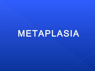 METAPLASIA
 