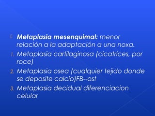  Metaplasia mesenquimal: menor
relación a la adaptación a una noxa.
1. Metaplasia cartilaginosa (cicatrices, por
roce)
2. Metaplasia osea (cualquier tejido donde
se deposite calcio)FB--ost
3. Metaplasia decidual diferenciacion
celular
 