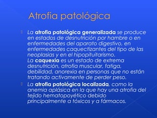  La atrofia patológica generalizada se produce
en estados de desnutrición por hambre o en
enfermedades del aparato digestivo, en
enfermedades caquectizantes del tipo de las
neoplasias y en el hipopituitarismo.
La caquexia es un estado de extrema
desnutrición, atrofia muscular, fatiga,
debilidad, anorexia en personas que no están
tratando activamente de perder peso.
 La atrofia patológica localizada, como la
anemia aplásica en la que hay una atrofia del
tejido hematopoyético debido
principalmente a tóxicos y a fármacos.
 