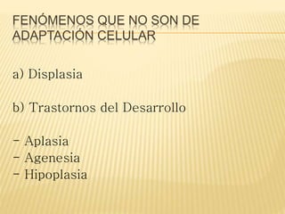 FENÓMENOS QUE NO SON DE
ADAPTACIÓN CELULAR
a) Displasia
b) Trastornos del Desarrollo
- Aplasia
- Agenesia
- Hipoplasia
 