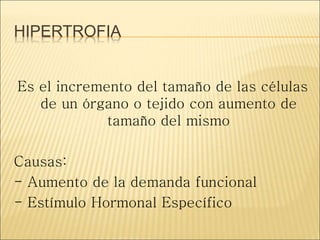 HIPERTROFIA
Es el incremento del tamaño de las células
de un órgano o tejido con aumento de
tamaño del mismo
Causas:
- Aumento de la demanda funcional
- Estímulo Hormonal Específico
 