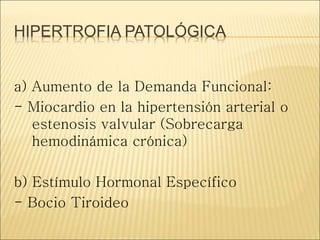 HIPERTROFIA PATOLÓGICA
a) Aumento de la Demanda Funcional:
- Miocardio en la hipertensión arterial o
estenosis valvular (Sobrecarga
hemodinámica crónica)
b) Estímulo Hormonal Específico
- Bocio Tiroideo
 