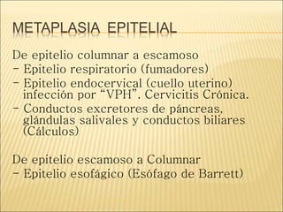 METAPLASIA EPITELIAL
De epitelio columnar a escamoso
- Epitelio respiratorio (fumadores)
- Epitelio endocervical (cuello uterino)
infección por “VPH”. Cervicitis Crónica.
- Conductos excretores de páncreas,
glándulas salivales y conductos biliares
(Cálculos)
De epitelio escamoso a Columnar
- Epitelio esofágico (Esófago de Barrett)
 