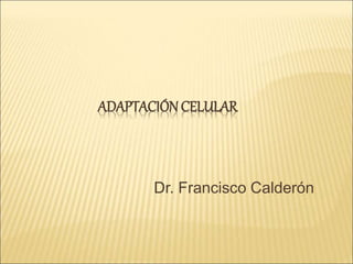 Dr. Francisco Calderón
ADAPTACIÓN CELULAR
 