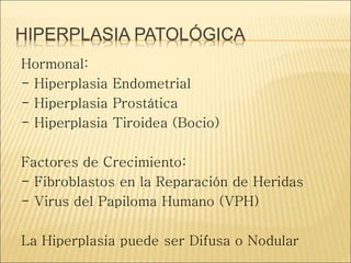 HIPERPLASIA PATOLÓGICA
Hormonal:
- Hiperplasia Endometrial
- Hiperplasia Prostática
- Hiperplasia Tiroidea (Bocio)
Factores de Crecimiento:
- Fibroblastos en la Reparación de Heridas
- Virus del Papiloma Humano (VPH)
La Hiperplasia puede ser Difusa o Nodular
 