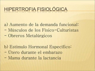HIPERTROFIA FISIOLÓGICA
a) Aumento de la demanda funcional:
- Músculos de los Físico-Culturistas
- Obreros Metalúrgicos
b) Estímulo Hormonal Específico:
- Útero durante el embarazo
- Mama durante la lactancia
 