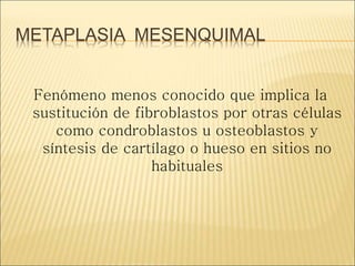 METAPLASIA MESENQUIMAL
Fenómeno menos conocido que implica la
sustitución de fibroblastos por otras células
como condroblastos u osteoblastos y
síntesis de cartílago o hueso en sitios no
habituales
 