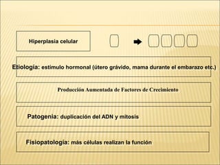 Etiología: estímulo hormonal (útero grávido, mama durante el embarazo etc.)
Patogenia: duplicación del ADN y mitosis
Fisiopatología: más células realizan la función
Hiperplasia celular
Producción Aumentada de Factores de Crecimiento
 