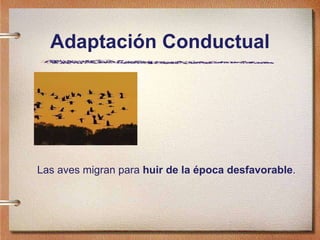 Adaptación Conductual Las aves migran para  huir de la época desfavorable . 