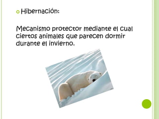  Hibernación:



Mecanismo protector mediante el cual
ciertos animales que parecen dormir
durante el invierno.
 