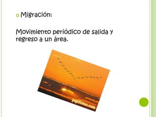  Migración:



Movimiento periódico de salida y
regreso a un área.
 
