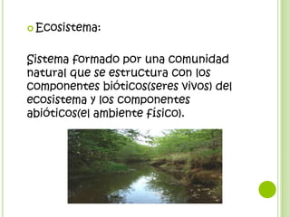  Ecosistema:



Sistema formado por una comunidad
natural que se estructura con los
componentes bióticos(seres vivos) del
ecosistema y los componentes
abióticos(el ambiente físico).
 