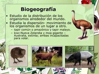 Biogeografía
• Estudio de la distribución de los
  organismos alrededor del mundo.
• Estudia la dispersión- movimiento de
  los organismos de un lugar a otro.
  – tapir común o amazónico y tapir malayo.
  – kiwi-Nueva Zelandia y moa gigante –
    Australia, extinta; ambas incapacitadas
    para volar.
 