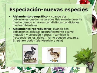 Especiación-nuevas especies
• Aislamiento geográfico – cuando dos
  poblaciones quedan separados físicamente durante
  mucho tiempo en áreas con distintas condiciones
  medioambientales.
• Aislamiento reproductivo- cuando dos
  poblaciones aisladas geográficamente ocurre
  mutación y selección natural. (cambian la
  frecuencia de los alelos). Ya no pueden cruzarse.
  Ej. pájaro dodo (Isla Mauricio y Asia)
 