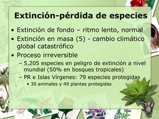 Extinción-pérdida de especies
• Extinción de fondo – ritmo lento, normal
• Extinción en masa (5) - cambio climático
  global catastrófico
• Proceso irreversible
  – 5,205 especies en peligro de extinción a nivel
    mundial (50% en bosques tropicales)
  – PR e Islas Vírgenes: 79 especies protegidas
     • 30 animales y 49 plantas protegidas
 