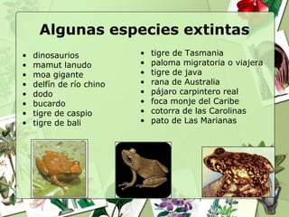 Algunas especies extintas
•   dinosaurios           •   tigre de Tasmania
•   mamut lanudo          •   paloma migratoria o viajera
•   moa gigante           •   tigre de java
•   delfín de río chino   •   rana de Australia
•   dodo                  •   pájaro carpintero real
•   bucardo               •   foca monje del Caribe
•   tigre de caspio       •   cotorra de las Carolinas
•   tigre de bali         •   pato de Las Marianas
 