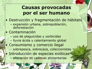 Causas provocadas
         por el ser humano
• Destrucción y fragmentación de hábitats
  – expansión urbana, sobrepoblación,
    deforestación
• Contaminación
  – uso de plaguicidas y yerbicidas
  – lluvia ácida y calentamiento global
• Consumismo y comercio ilegal
  – sobrepesca, sobrecaza, coleccionistas
• Introducción de especies exóticas
  – alteración de cadenas alimentarias
 