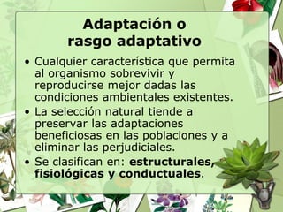 Adaptación o
       rasgo adaptativo
• Cualquier característica que permita
  al organismo sobrevivir y
  reproducirse mejor dadas las
  condiciones ambientales existentes.
• La selección natural tiende a
  preservar las adaptaciones
  beneficiosas en las poblaciones y a
  eliminar las perjudiciales.
• Se clasifican en: estructurales,
  fisiológicas y conductuales.
 