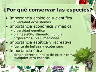 ¿Por qué conservar las especies?
• Importancia ecológica y científica
  – diversidad ecosistemas
• Importancia económica y médica
  – diversidad genética
  – plantas-90% alimento mundial
  – organismos- 50% medicinas
• Importancia estética y recreativa
  – fuente de belleza y ecoturismo
• Importancia ética
  – tienen derecho innato de existir como
    cualquier otra especie.
 
