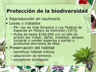 Protección de la biodiversidad
• Reproducción en cautiverio
• Leyes y tratados
  – PR- Ley de Vida Silvestre y Ley Federal de
    Especies en Peligro de Extinción (1973)
  – Multa de hasta $100,000 y/o un año de
    prisión por matar, dañar, molestar, atrapar,
    comprar o vender especies o partes o
    productos derivados de ellas.
• Preservación del hábitat
  – identificar hábitat críticos
  – adquisición de terrenos
  – corredores ecológicos
 