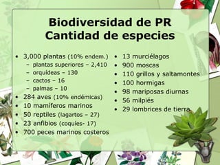 Biodiversidad de PR
         Cantidad de especies
• 3,000 plantas (10% endem.) •      13 murciélagos
   – plantas superiores – 2,410 •   900 moscas
   – orquídeas – 130            •   110 grillos y saltamontes
   – cactos – 16                •   100 hormigas
   – palmas – 10
                                •   98 mariposas diurnas
• 284 aves (10% endémicas)
                                •   56 milpiés
• 10 mamíferos marinos
                                •   29 lombrices de tierra
• 50 reptiles (lagartos – 27)
• 23 anfibios (coquíes- 17)
• 700 peces marinos costeros
 