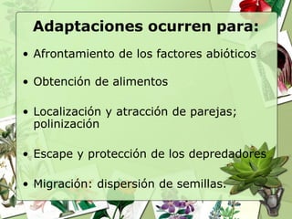 Adaptaciones ocurren para:
• Afrontamiento de los factores abióticos

• Obtención de alimentos

• Localización y atracción de parejas;
  polinización

• Escape y protección de los depredadores

• Migración: dispersión de semillas.
 