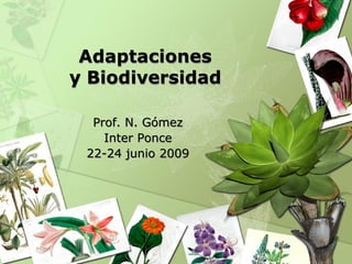 Adaptaciones
y Biodiversidad

  Prof. N. Gómez
    Inter Ponce
 22-24 junio 2009
 