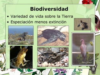 Biodiversidad
• Variedad de vida sobre la Tierra
• Especiación menos extinción
 