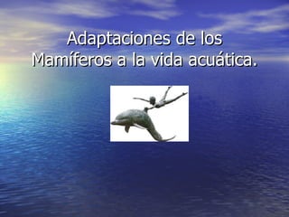Adaptaciones de los Mamíferos a la vida acuática. 