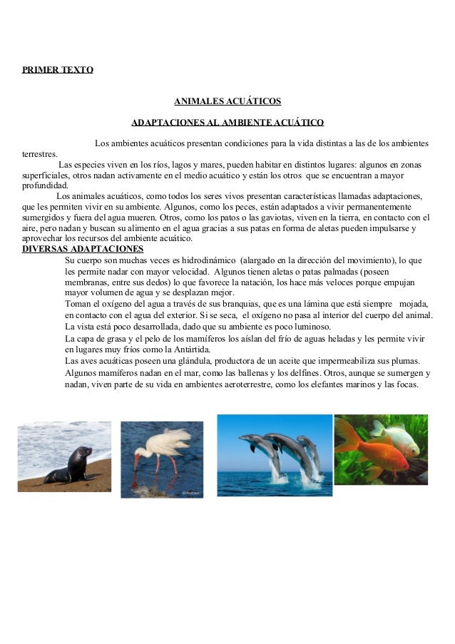 Adaptaciones al ambiente acuático