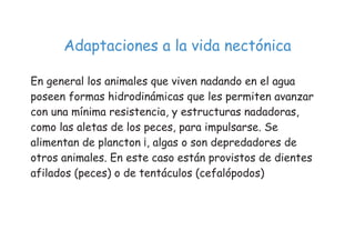 !                   !
                 !           "
        #!

$   %                $   %
 