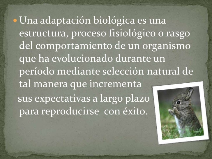 Adaptaciones biológicas