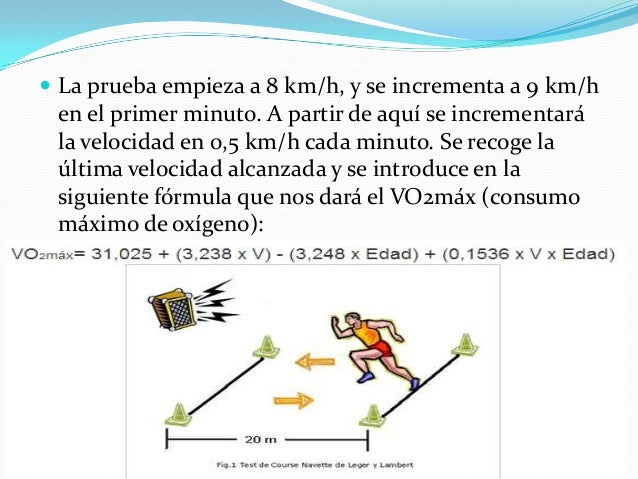 Adaptaciones cardiopulmonares al ejercicio