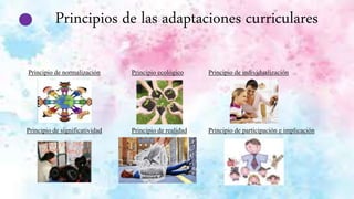 Principios de las adaptaciones curriculares
Principio de normalización Principio ecológico Principio de individualización
Principio de significatividad Principio de realidad Principio de participación e implicación
 
