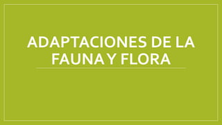 ADAPTACIONES DE LA
FAUNAY FLORA
 